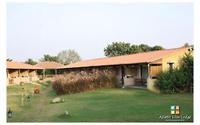 Asiatic Lion Lodge