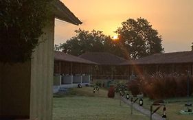 Asiatic Lion Lodge